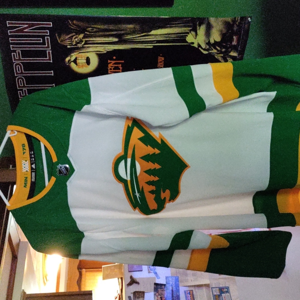 Minnesota wild reverse retro jersey